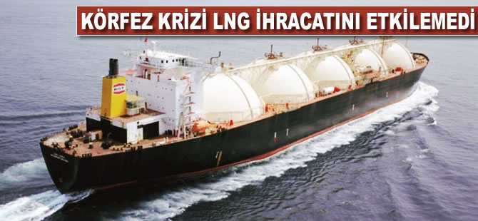 Körfez krizi LNG ithalatını etkilemedi