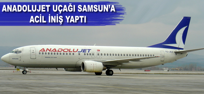 Anadolujet uçağı acil iniş yaptı