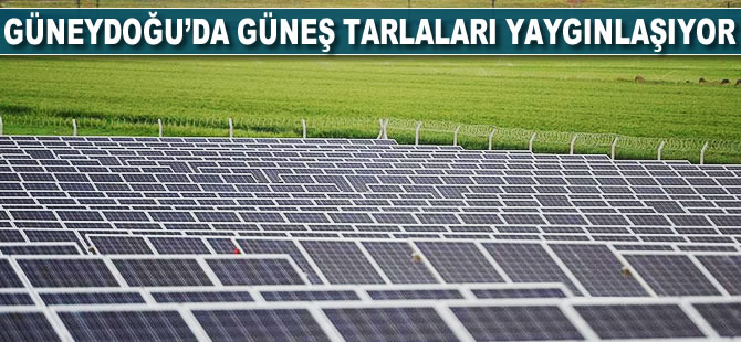 Güneydoğu'da 'güneş tarlaları' yaygınlaşıyor