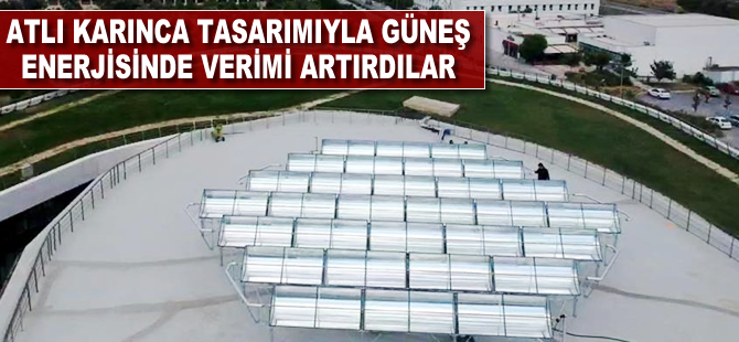 'Atlı karınca' tasarımıyla güneş enerjisinde verimi artırdılar