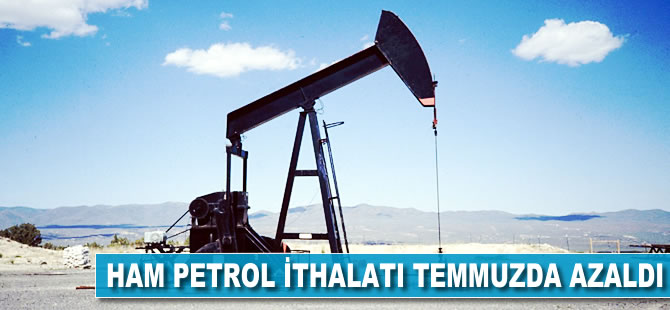 Ham petrol ithalatı temmuzda azaldı