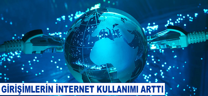 Girişimlerin internet kullanımı arttı