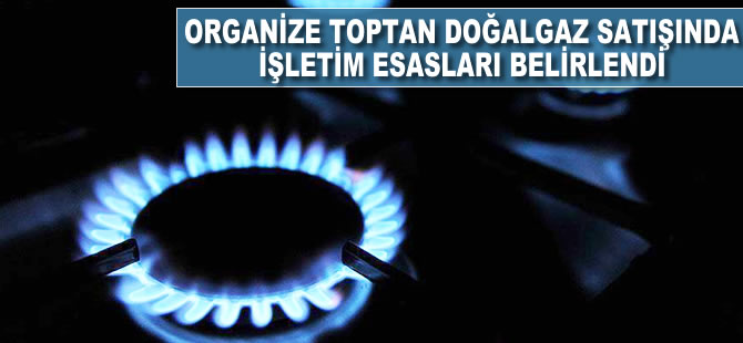 Organize toptan doğalgaz satışında işletim esasları belirlendi