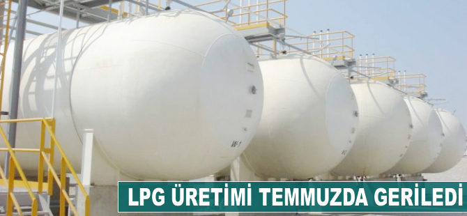 LPG üretimi temmuzda yüzde 12.85 azaldı