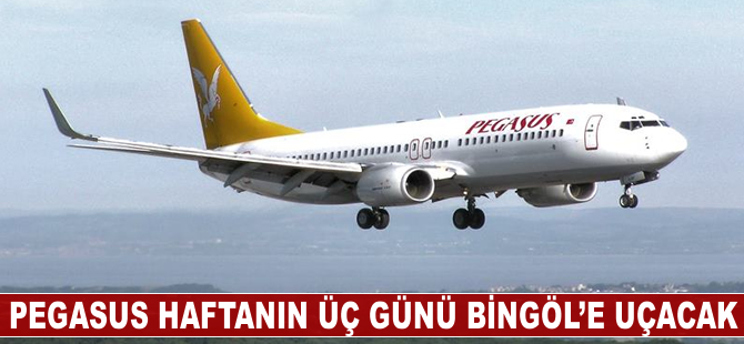 Pegasus haftanın 3 günü Bingöl'e uçacak