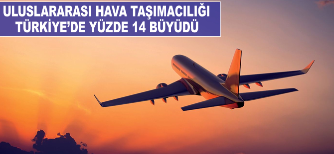 Uluslararası hava taşımacılığı Türkiye'de yüzde 14 büyüdü