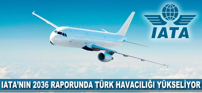 IATA'nın 2036 raporunda Türk havacılığı yükseliyor