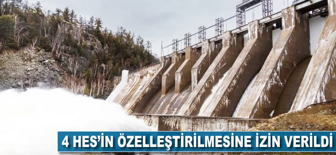 4 HES'in özelleştirmesine onay verildi