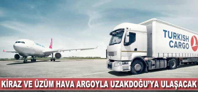 Kiraz ve üzüm hava kargoyla Uzakdoğu'ya ulaşacak