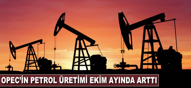 OPEC'in petrol üretimi ekimde düştü