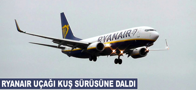 Ryanair uçağı kuş sürüsüne daldı