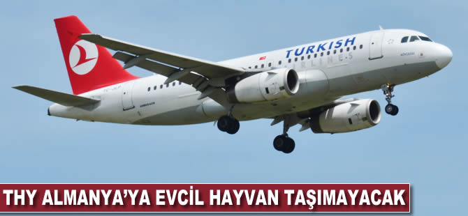 THY Almanya'ya evcil hayvan taşımayacak