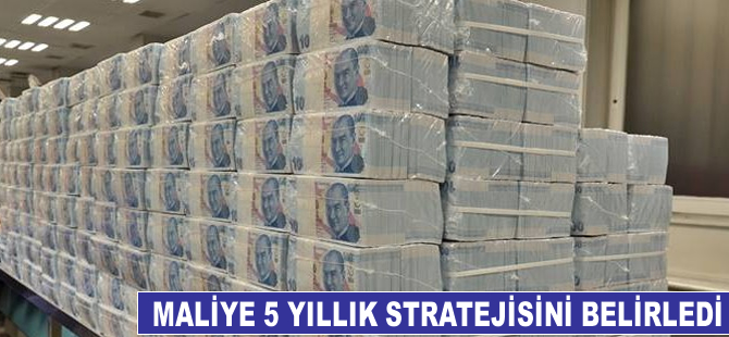 Maliye, 5 yıllık stratejisini belirledi