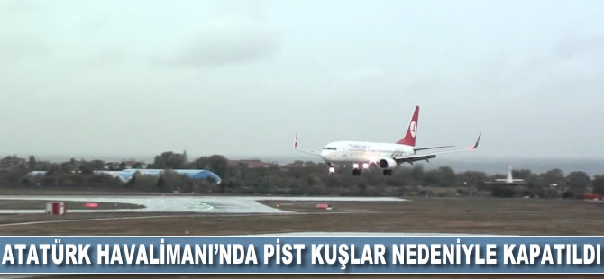 Atatürk Havalimanı'nda pist kuşlar nedeniyle kapatıldı