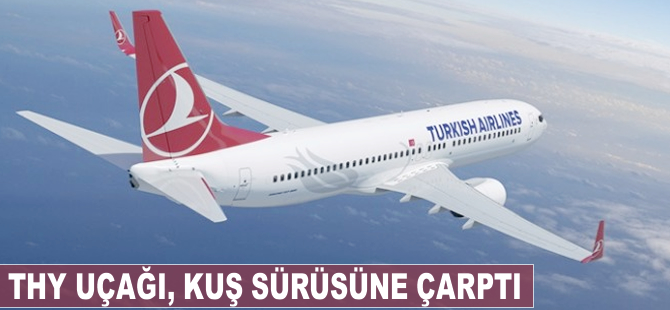 THY uçağı kuş sürüsüne çarptı