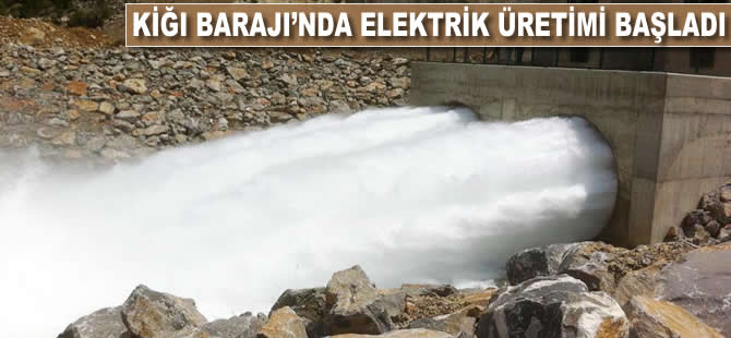 Kiğı Barajı'nda elektrik üretimi başladı