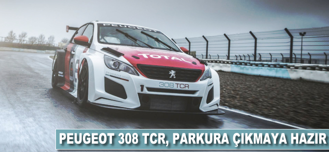 Peugeot 308 TCR, parkura çıkmaya hazır