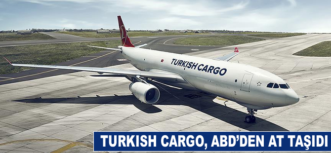 Turkish Cargo, ABD'den at taşıdı