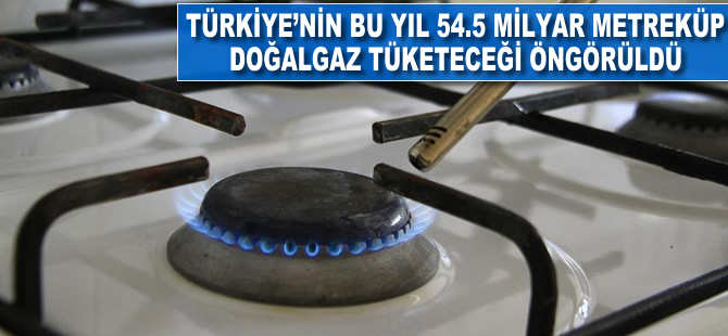 Türkiye'nin bu yıl 54.5 milyar metreküp doğalgaz tüketeceği öngörüldü