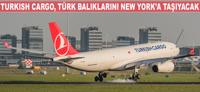 Turkish Cargo, Türk balıklarını New York'a taşıyacak