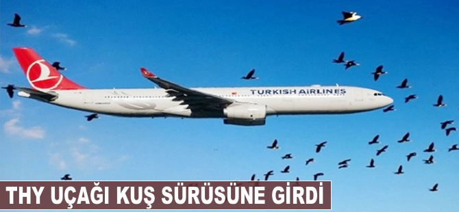 THY uçağı kuş sürüsüne girdi