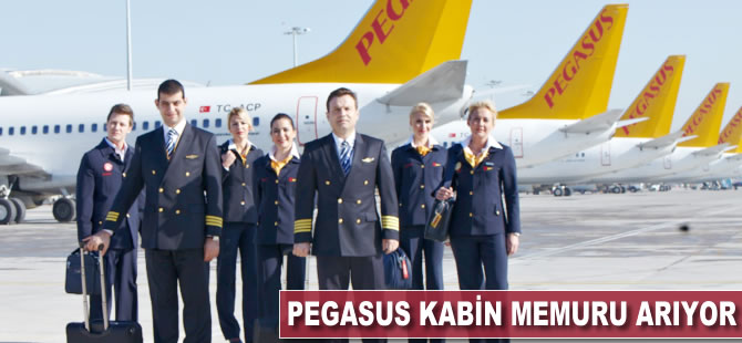 Pegasus kabin memuru arıyor