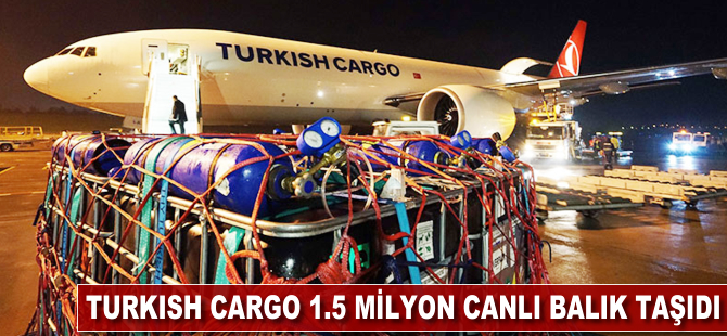 Turkish Cargo 1.5 milyon canlı balık taşıdı