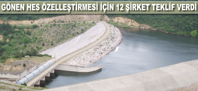 Gönen HES özelleştirmesine 12 şirket teklif verdi