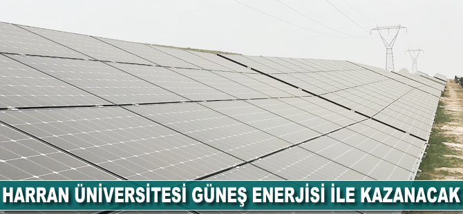 Harran Üniversitesi güneş enerjisi ile kazanacak