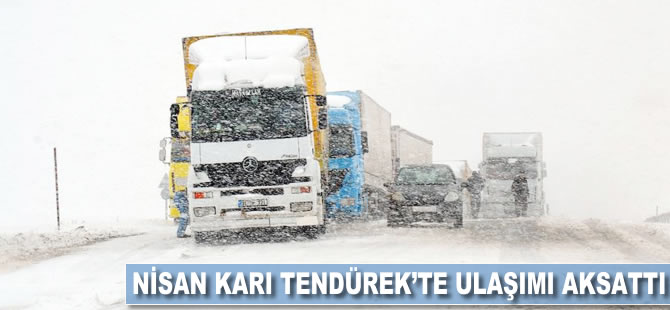 Nisan karı Tendürek'te ulaşımı aksattı