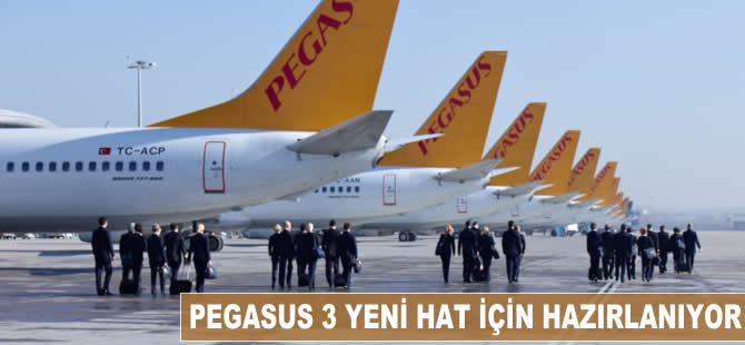 Pegasus 3 yeni hat için hazırlanıyor