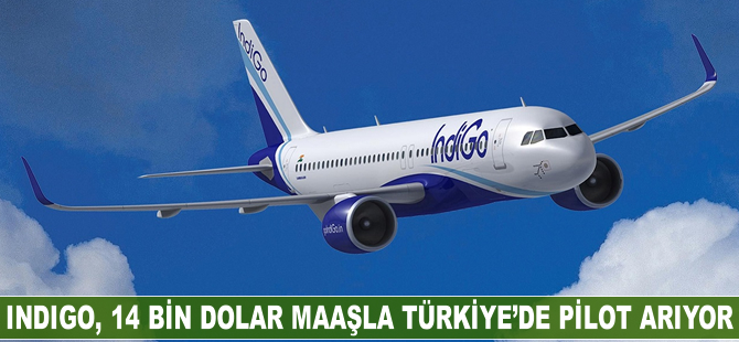 Indigo, Türkiye'de pilot arıyor