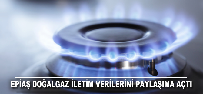 EPİAŞ doğalgaz iletim verilerini paylaşıma açtı