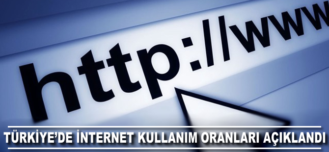 Türkiye internet kullanım oranları belli oldu