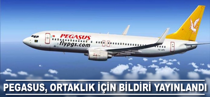 Pegasus, "birleşme işlemlerine ilişkin bildirim" yayınladı