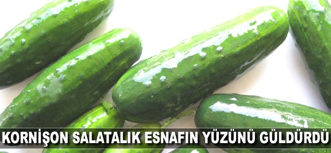 Kornişon salatalık esnafın yüzünü güldürdü