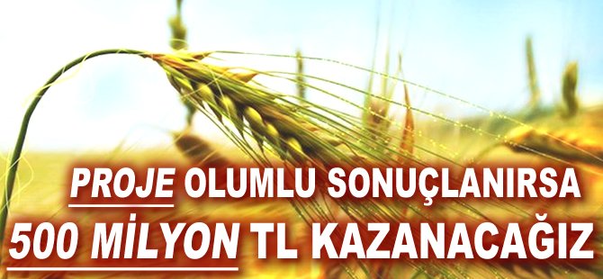 Proje olumlu sonuçlanırsa 500 milyon TL kazanacağız