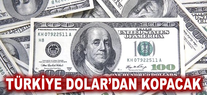 Türkiye Dolar'dan kopacak