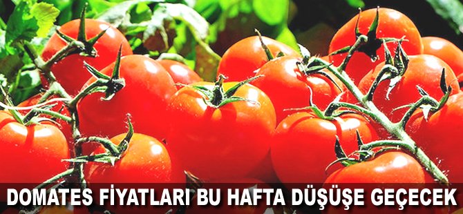 Domates fiyatları bu hafta düşüşe geçecek