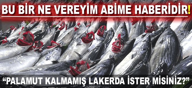 Bu bir ne vereyim abime haberidir: "Palamut kalmamış Lakerda ister misiniz?"