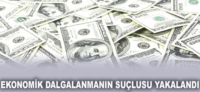 Ekonomik dalgalanmanın suçlusu yakalandı