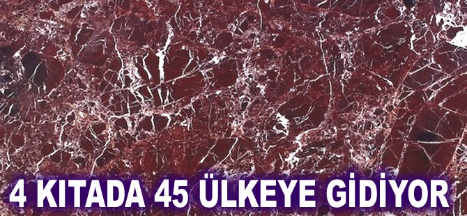 4 kıtada 45 ülkeye gidiyor