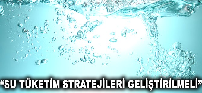 "Su tüketim stratejileri geliştirilmeli"