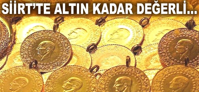 Siirt'te Altın kadar değerli...