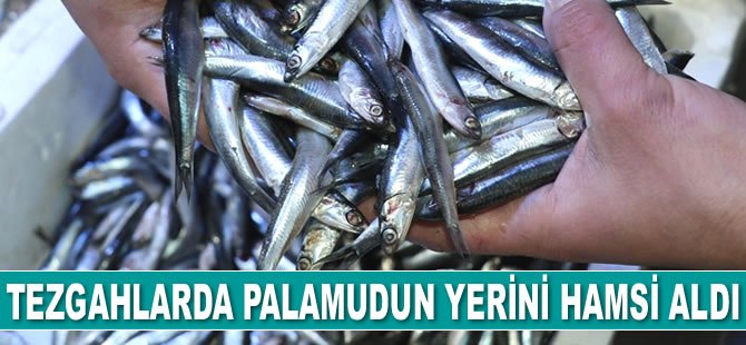 Tezgahlarda palamudun yerini hamsi aldı