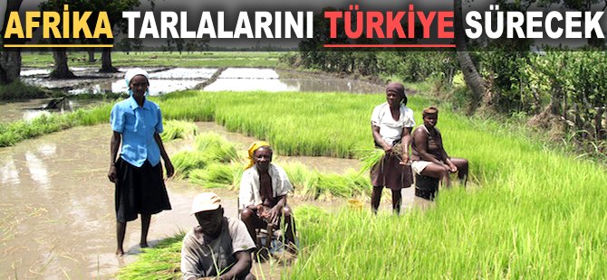 Afrika tarlalarını Türkiye sürecek