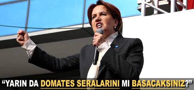 "Yarın da Domates Seralarını mı basacaksınız?"