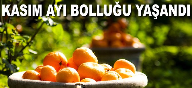 Kasım ayı bolluğu yaşandı