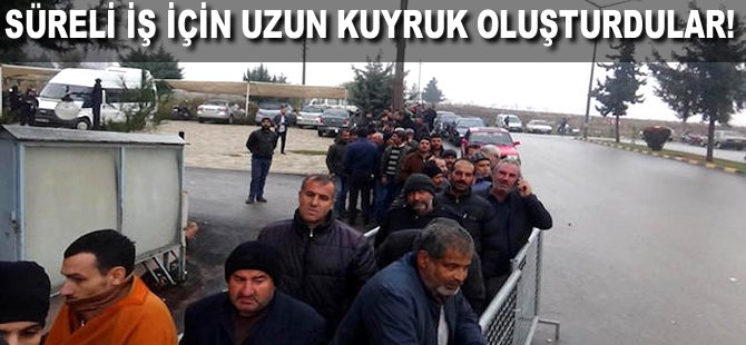 Süreli iş için uzun kuyruk oluşturdular!