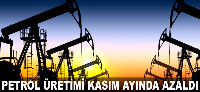 Petrol üretimi Kasım ayında azaldı